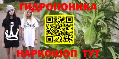 экстази Боровичи